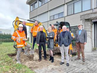 Eeklo doet mee aan Vlaams kampioenschap tegelwippen en deelt premies uit tot 1.000 euro: “Inwoners aansporen om te ontharden”