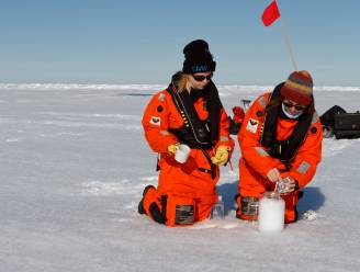 Microplastics zijn nu overal, zelfs op de Noordpool: “Mensen ademen ze voortdurend in”