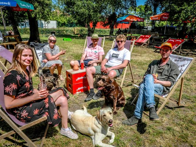 Op dit festival zijn komend weekend de honden baas: “Alles staat in teken van beleving”
