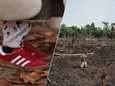 Ontbossing van de Amazone en moderne slavernij: populaire Adidas-sneaker roept vragen op