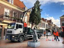 Reuzenkerstboom uit Tsjechië staat al op z'n plek in Brielle