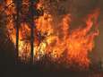 Bejaard echtpaar sterft door bosbrand in Australië