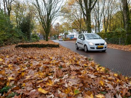 Heerde ligt bedolven onder herfstbladeren: ook vijftien bladblazers gestolen op gemeentewerf