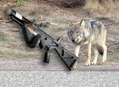 Dit is het wapen waarmee Gelderland de wolf wil afschrikken: ‘Die projectielen komen echt wel aan’