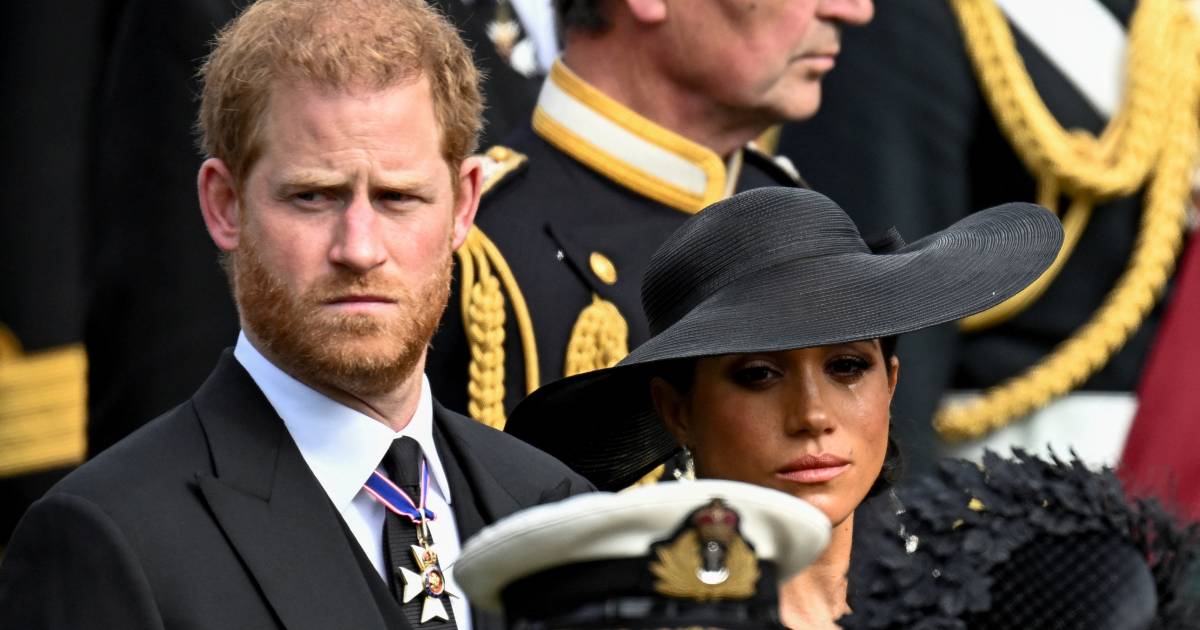 Harry e Meghan si sono separati dall’azienda di pubbliche relazioni che già possedevano quando lavoravano: “Hanno una cattiva reputazione e ci proveranno da soli” |  Proprietà