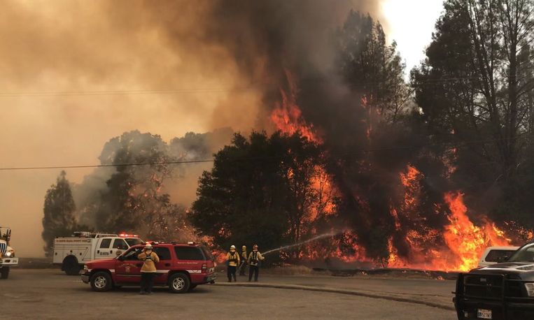 In Lake County staat 46 vierkante kilometer bos in brand. Beeld EPA