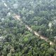 Toren in Amazone voor controle klimaatverandering