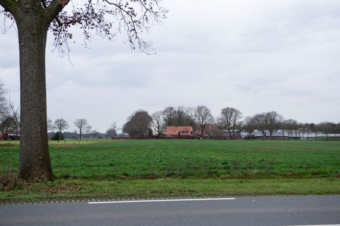 Dit is nu het uitzicht voor de overburen, woonachtig aan de Hexelseweg, van het geplande zonnepark in Hoge Hexel.