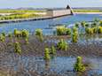 Meer veerboten naar Marker Wadden vanaf april  