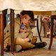 ‘When Hitler Stole Pink Rabbit’ is een toegankelijke oorlogsfilm bestemd voor kinderogen