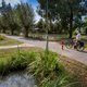 Paaltjes maken het fietspad gevaarlijker in plaats van veiliger: ‘Een vreemd fenomeen’