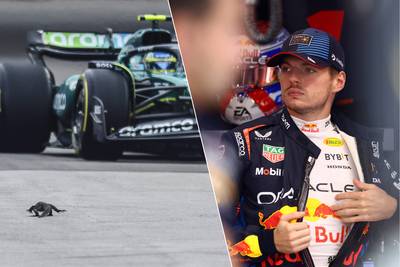 LIVE F1. Lizard disrupts final training in Singapore, where Verstappen again comes up short