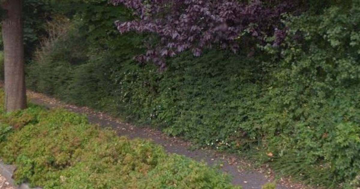 utrechtse heuvelrug laat niet verkocht snippergroen verwilderen een aanmoediging om te kopen utrecht gelderlander nl