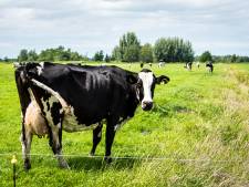 Nieuwe natuurautoriteit legt eerste gebieden langs de meetlat: ‘Natuur onder druk, maatregelen nodig’