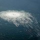 Explosies aan Nord Stream-pijpleidingen mogelijk ‘werk van pro-Oekraïense groep’