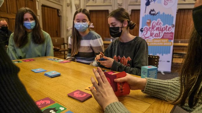 Het spel leert je een boel zaken over wat je moet doen en weten bij het hebben van een poes.
