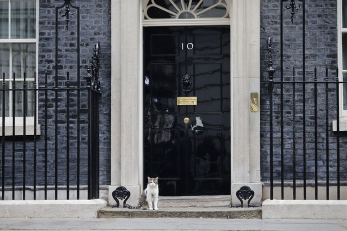 Downing Street 10 in London, met huiskat 'Chief Mouser'