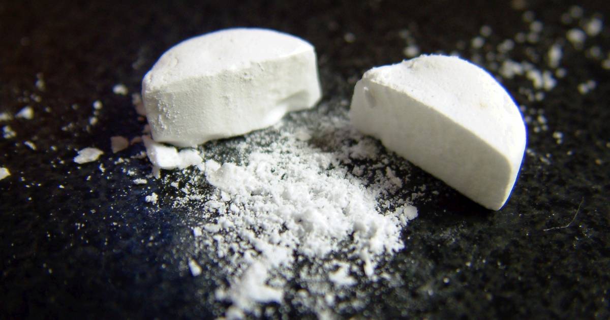 Bergenaar wist van wietkwekerij in zijn huis, maar schrikt als politie ook nog kilo's harddrugs vindt.