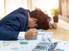 Senzer keerde twintig miljoen euro uit aan TOZO-steun; geen fraude vastgesteld in regio