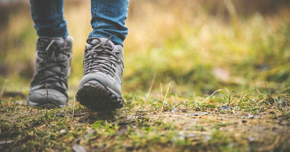 Wandelschoenen on sale test consumentenbond
