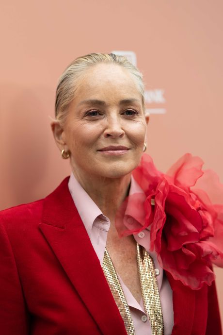 Sharon Stone oubliée par Hollywood après son AVC: “Je n'ai pas eu de travail depuis”