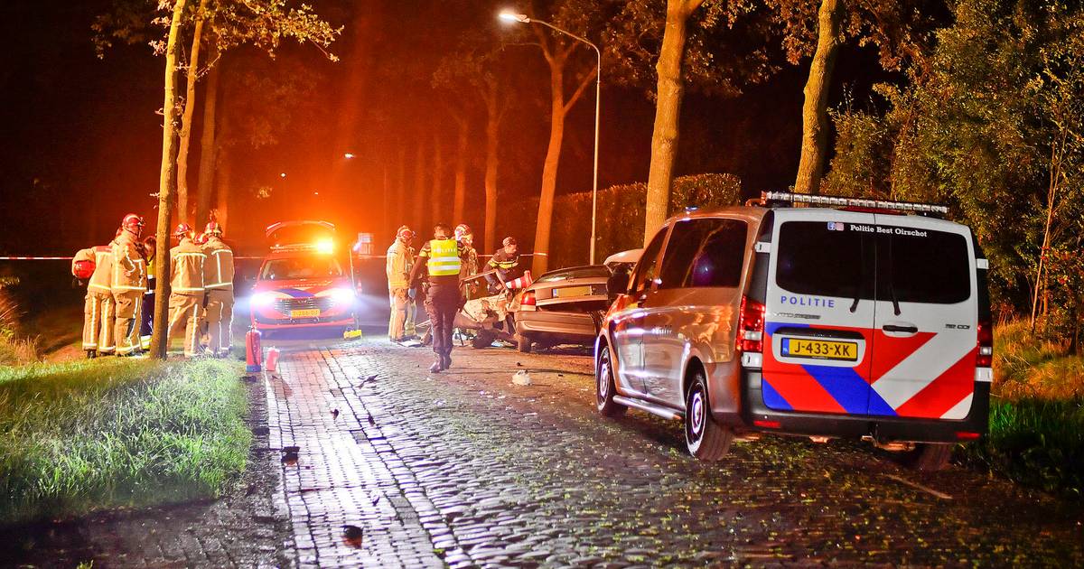 19-jarige man uit Bladel overlijdt na zware botsing tegen meerdere bomen in Hulsel