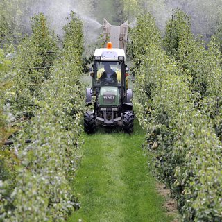 Europese Hof kraakt toelating pesticiden: weg met de oude protocollen