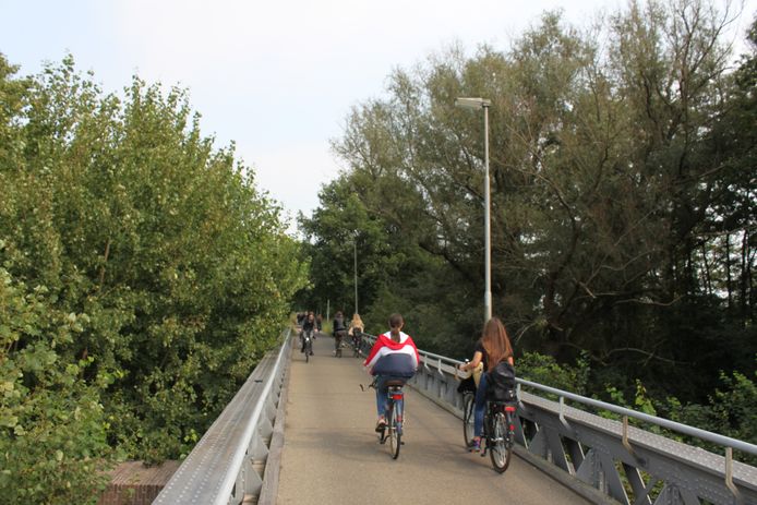 Een gedeelte van groen langs het Halvezolen fietspad in de Baardwijkse Overlaat dat de gemeenten willen kappen.