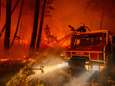 Frankrijk heeft al 26 pyromanen opgepakt in onderzoek naar bosbranden: “Eén dader deed het voor de ‘opwinding’ van de brandweerinterventies” 