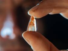Archeologen opgewonden: 54.000 jaar oude pijlpunten bezorgen Europa enorme sprong in de tijd