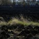 Natuur en Bos waarschuwt voor brandgevaar door droogte