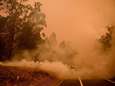 Eén dode en zes vermisten na "verschrikkelijke dag" van Australische bosbranden