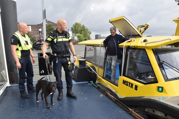 Hond gered uit Nieuwe Maas en herenigd met baasje: ‘Dachten eerst dat ...