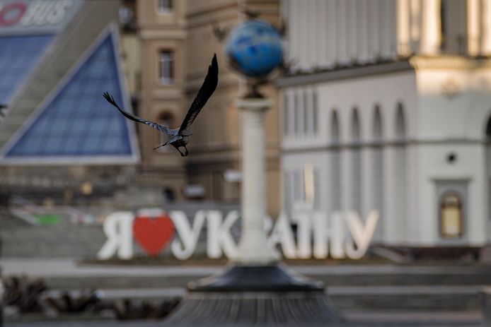 Een vogel vliegt voorbij de woorden 'Ik hou van Oekraïne' in Kiev.