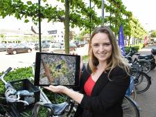Ilse plant zaadje voor groen Besterdplein: met ondergronds parkeren en een vijver en kiosk erbovenop 