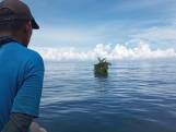 Indonesische vissers vinden piepklein drijvend eiland op zee