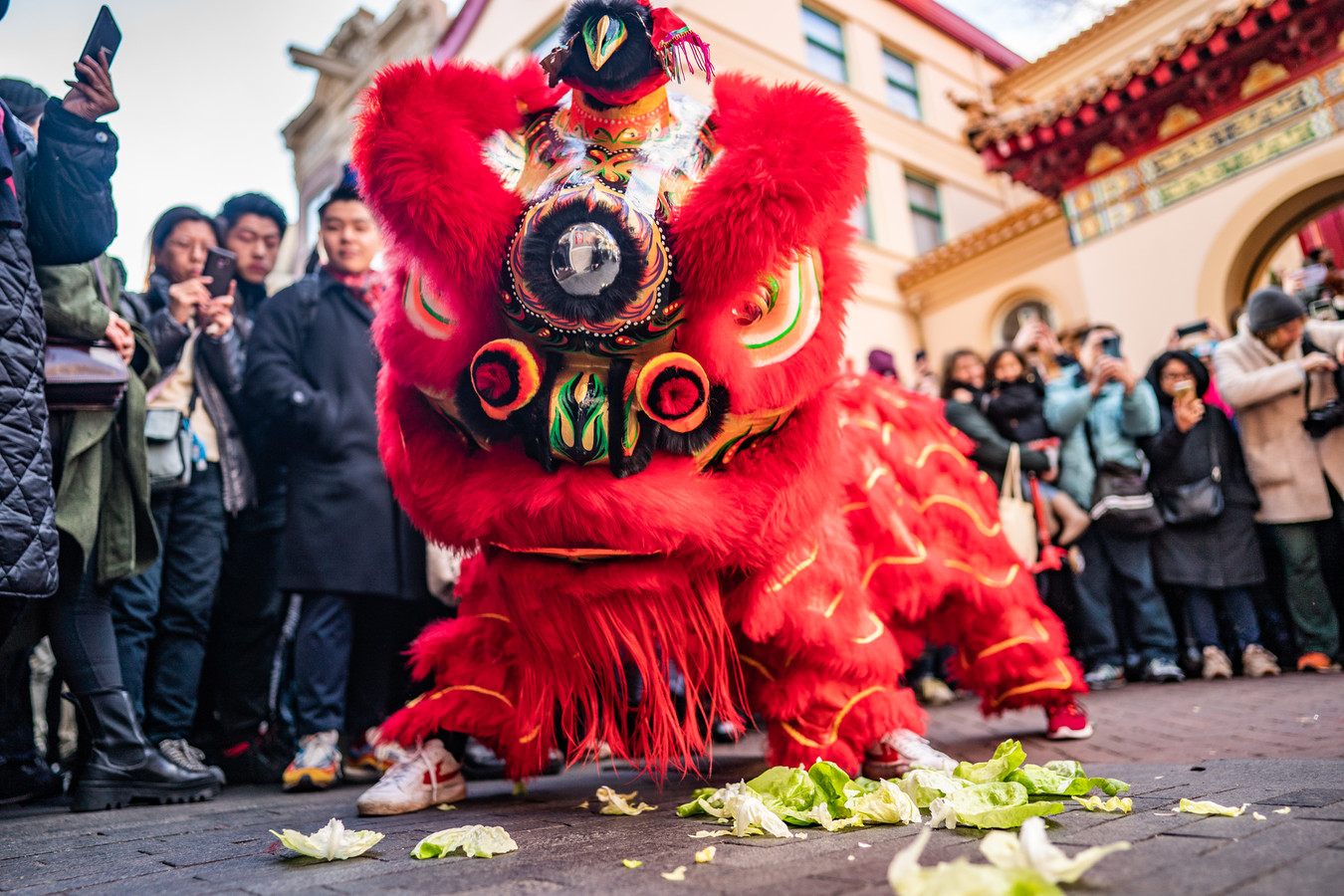 Wat te doen in en rond Antwerpen dit weekend? Van Chinees nieuwjaar tot