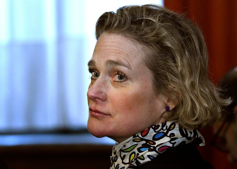 Delphine Boël Beeld Photo News