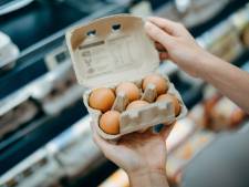 Kun je een supermarkt-ei uitbroeden? ‘Na zo’n drie weken hoor ik gepiep’
