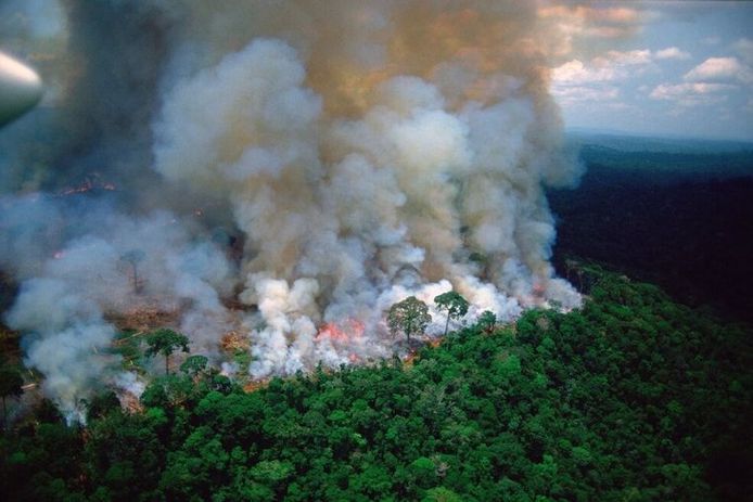 Bosbranden kunnen een combinatie van deeltjes, koolmonoxide en andere vervuilende stoffen produceren, die een gevaar vormen voor de gezondheid van al het leven op de planeet.