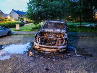 Pick-up volledig uitgebrand op parkeerplaats in Vlaardingen
