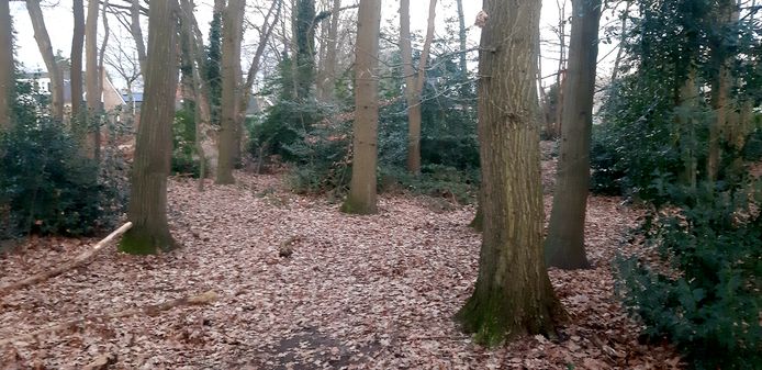 De locatie waar de kippen werden aangetroffen