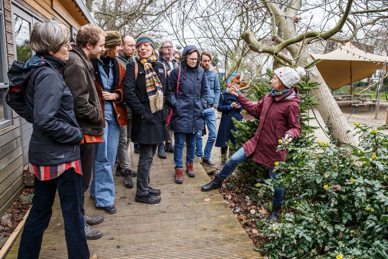Natuurgids Marjolein Themmen leert de deelnemers van de workshop ‘Voedselbosjes' de eerste kneepjes van het ‘vak’. Beeld Tim Hillege