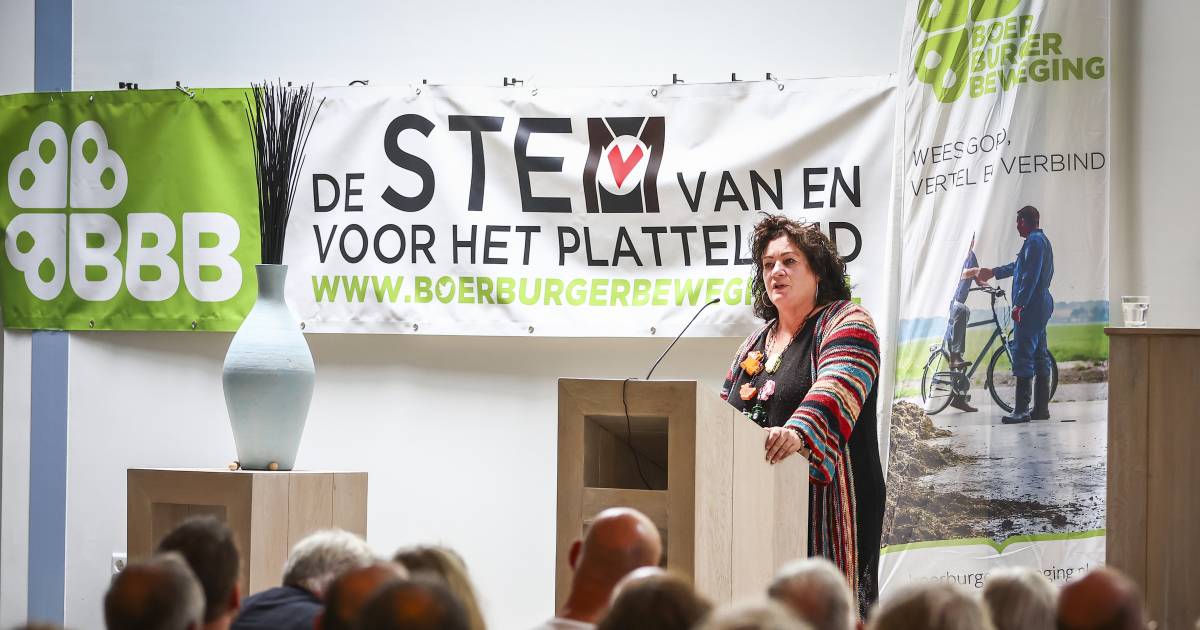 Il leader della BBB Van der Plas si sente ‘in pericolo’ ed esce dal palco durante il dibattito |  interno