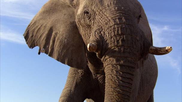 Earth: The Nature of Our Planet