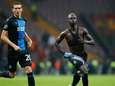 Europese overwintering Bosz, oliedomme rode kaarten Brugge
