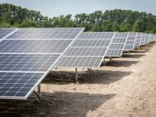 Stiphouts zonnepark lijkt niet op hoe het vooraf werd geschetst, stichting wil dat gemeente ingrijpt