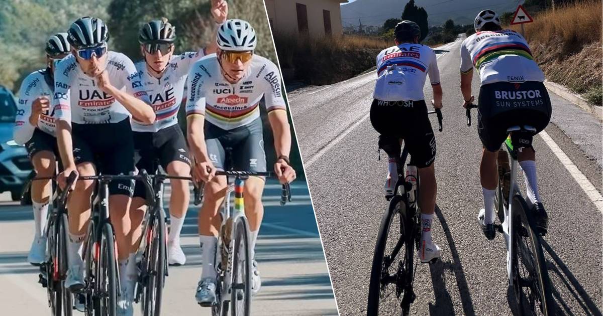 MIRAR.  Primero con Evenepoel, ahora con Pogacar: Van der Poel vuelve a entrenar bien acompañado en España |  ciclocross