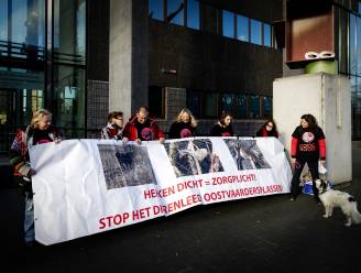 Boswachters roepen ethische bezwaren in: ze willen geen 1.800 herten afschieten in Oostvaardersplassen