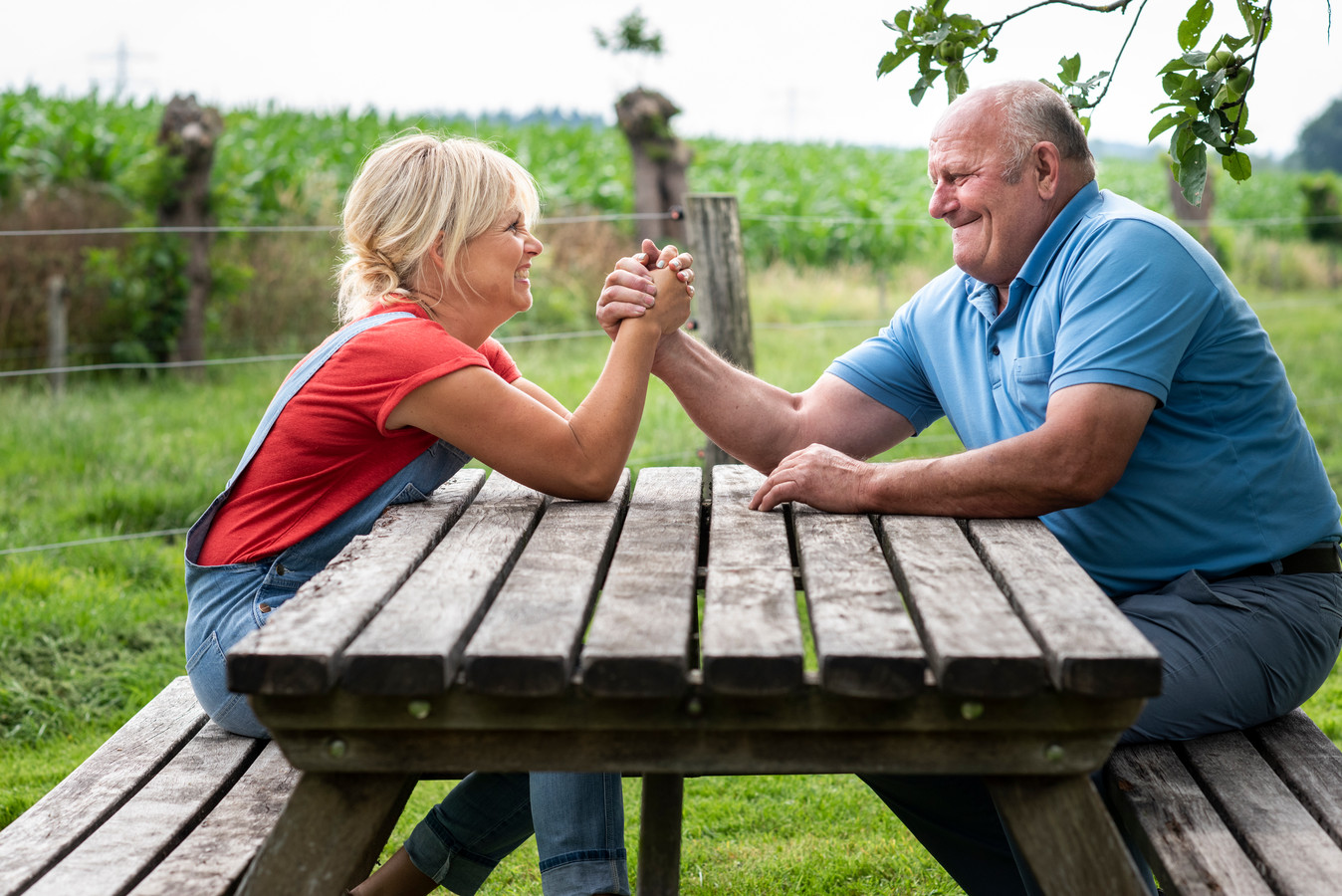 Wie is toch die populaire Hans